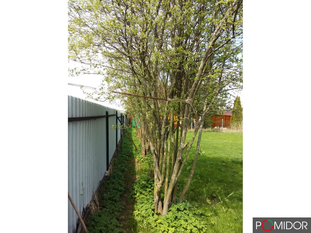 Продам дачу на участке 8 соток по пятницкому шоссе